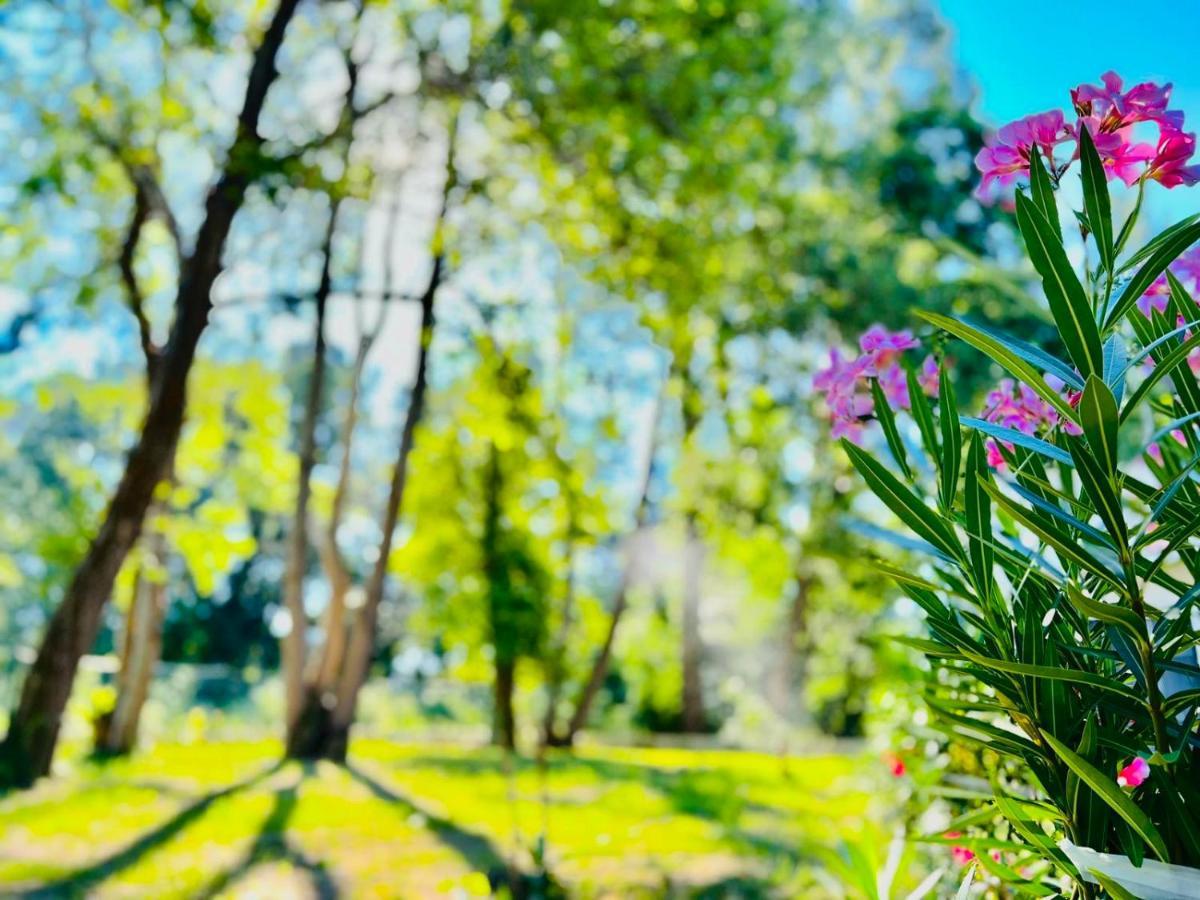 Garden Villas دونجي ستوج المظهر الخارجي الصورة